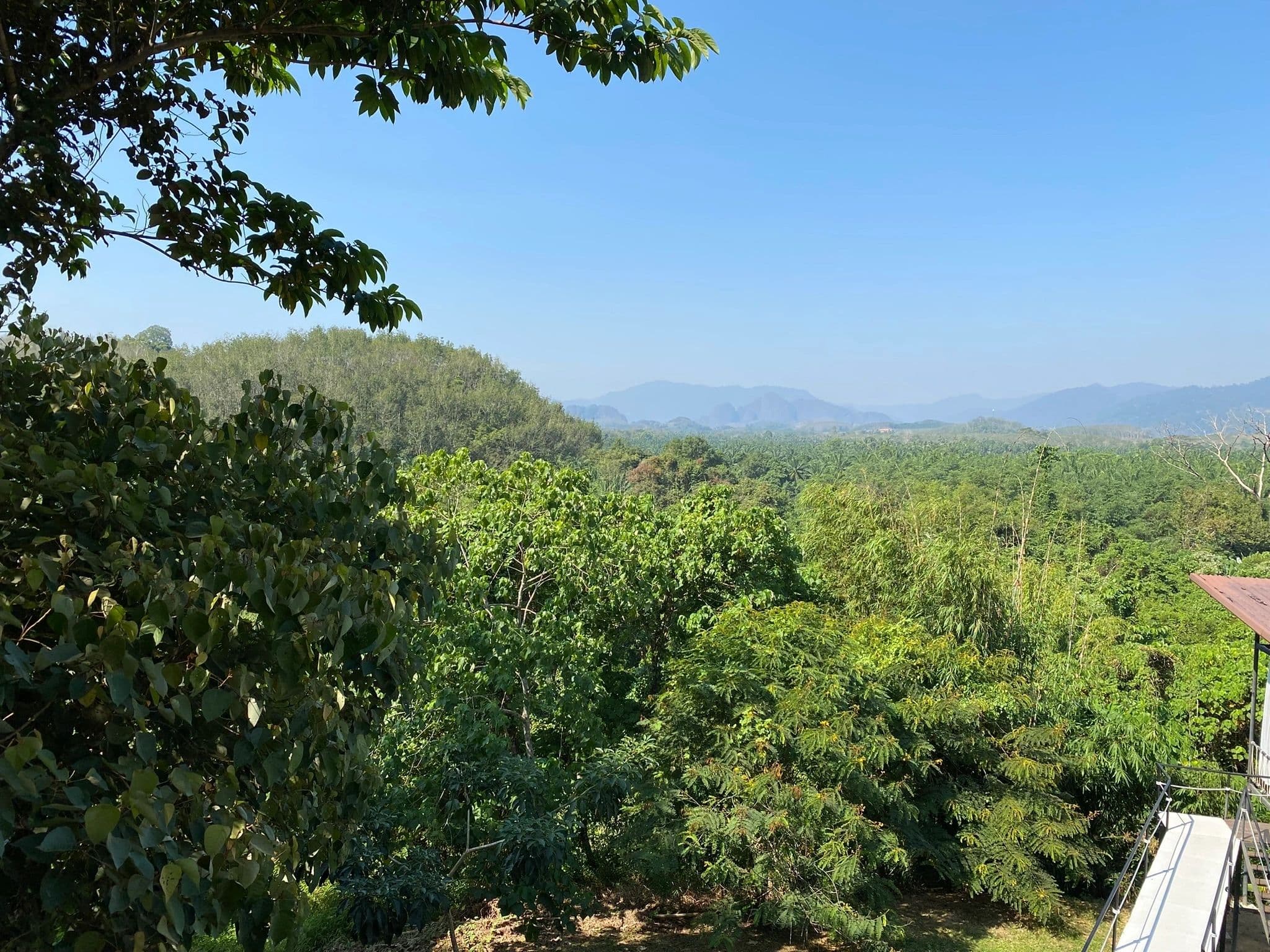 Travel photo