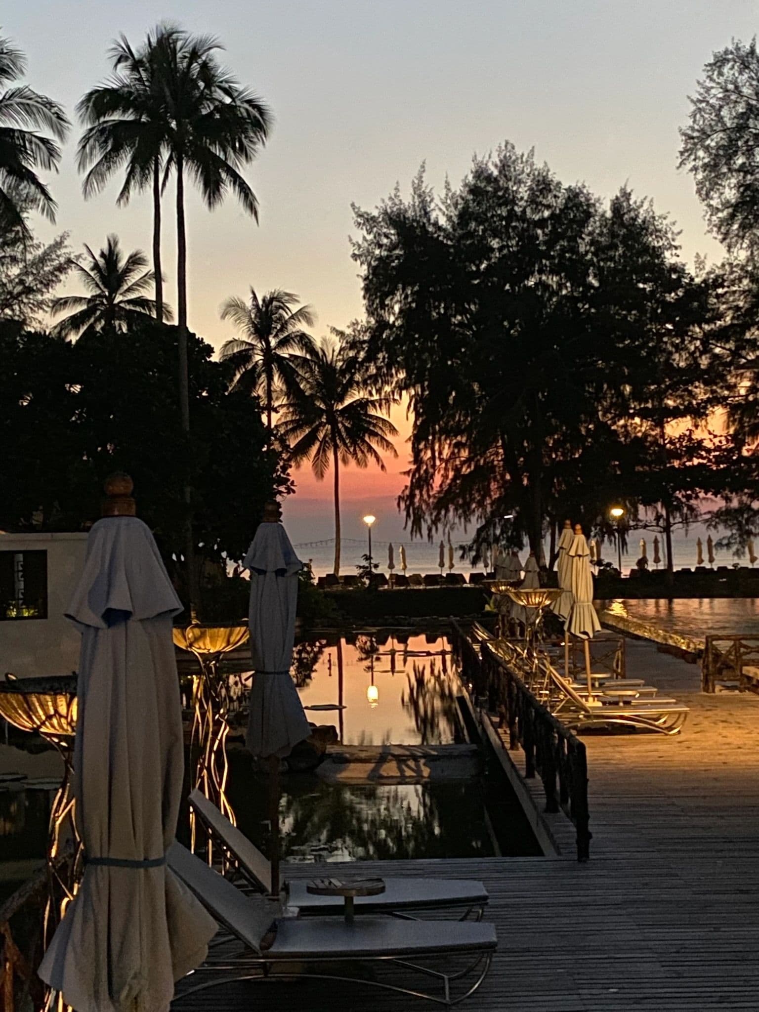 Tropical resort pool at sunset with palm trees