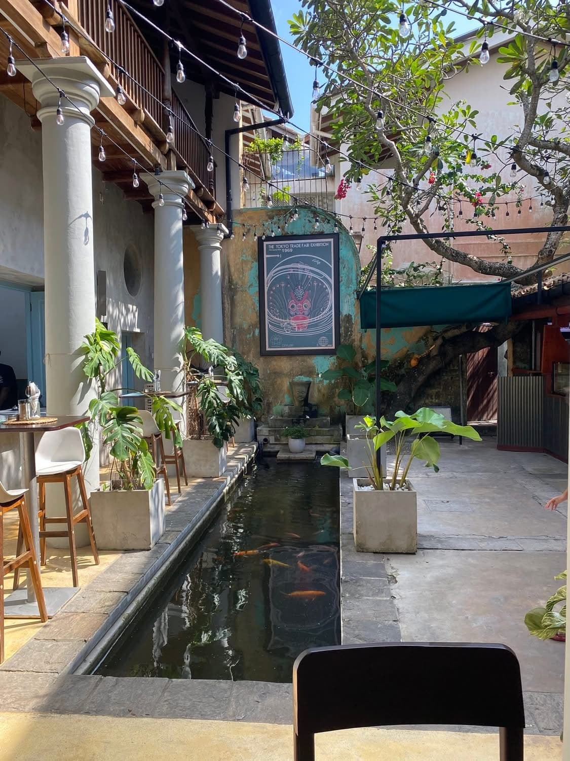 Courtyard with a koi pond, tropical plants, and string lights