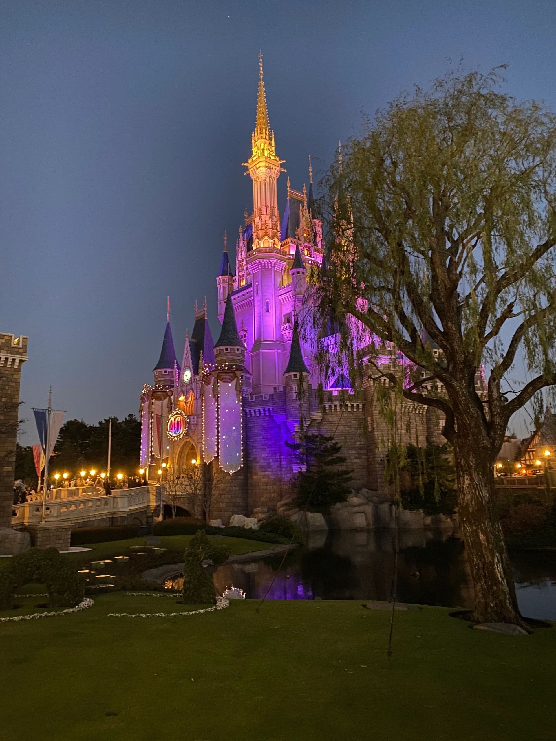 Cinderella Castle illuminated at Tokyo Disneyland
