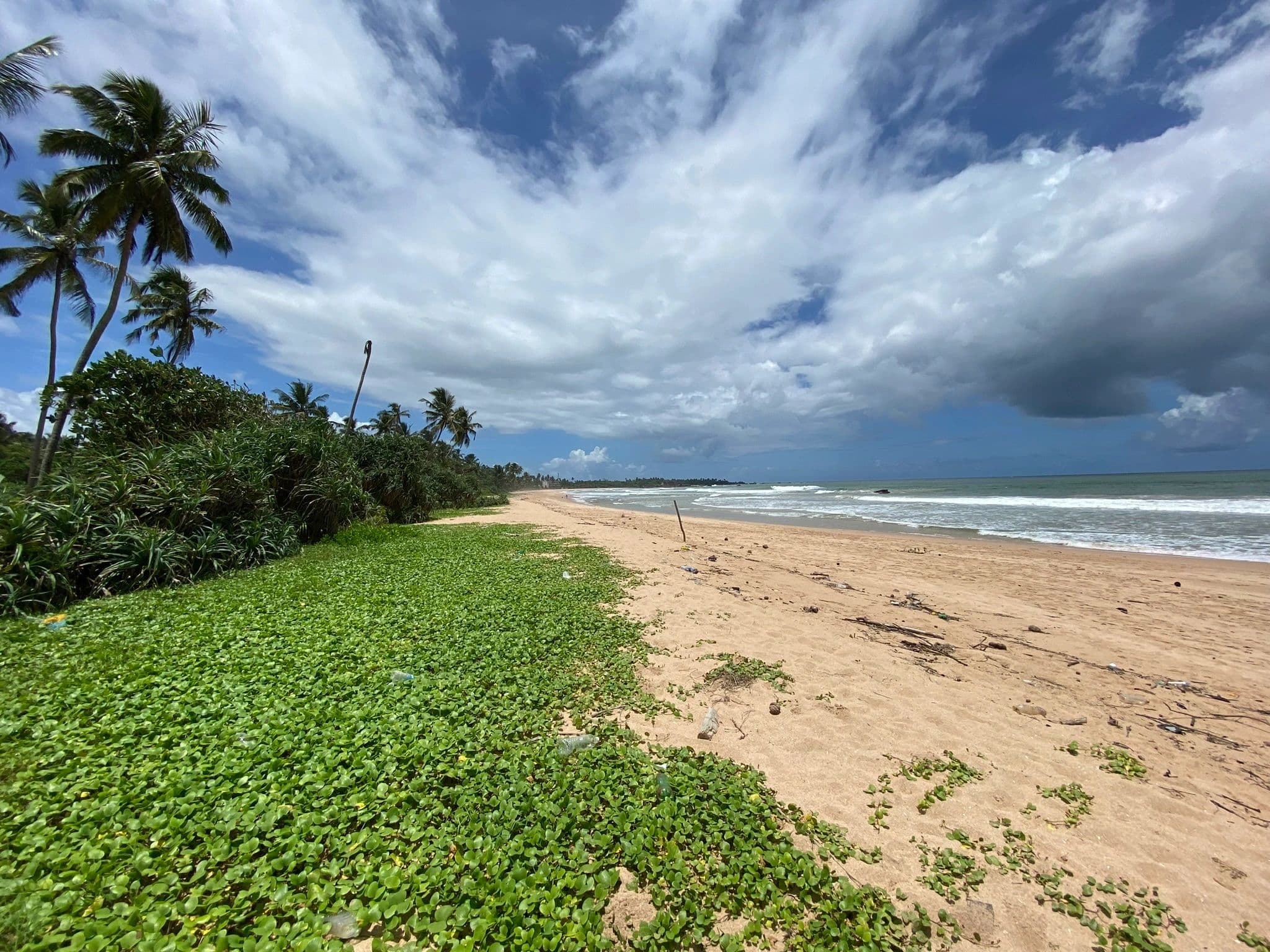 Tropical beach with palm trees and dramatic clouds